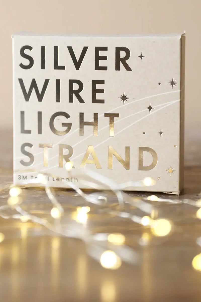 silver wire light strand